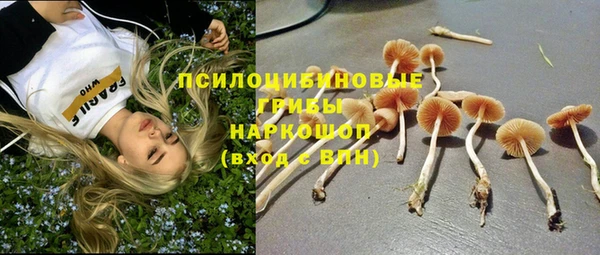 наркотики Каменка