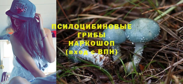 a pvp Каменногорск