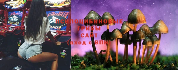a pvp Каменногорск