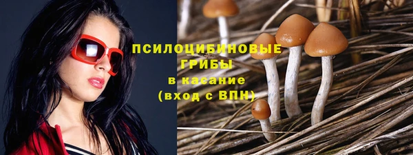 твердый Каменск-Шахтинский