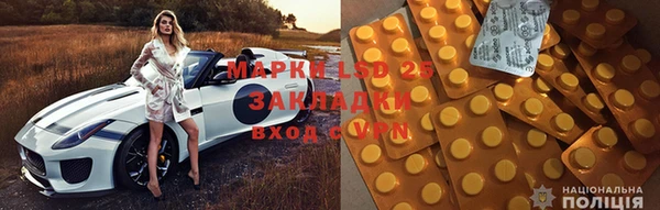a pvp Каменногорск